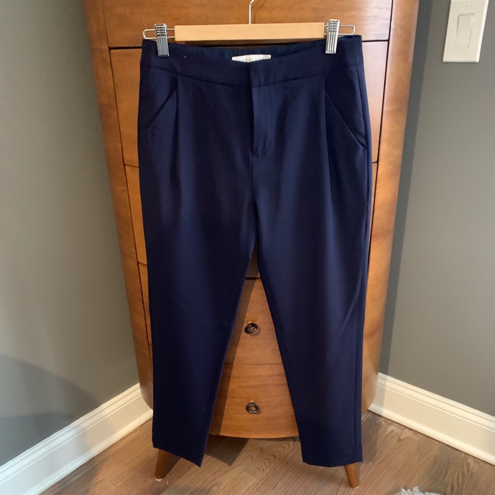 Everlane Slouchy Trouser